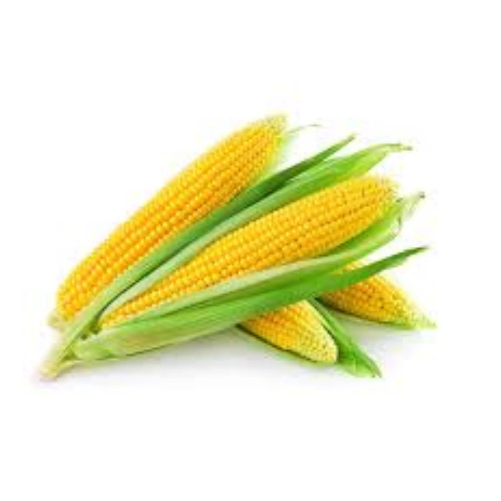 Corn